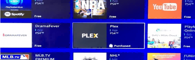 zakupiono plex