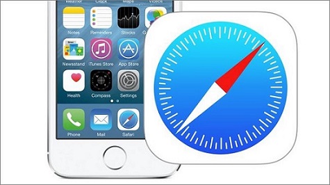 safari