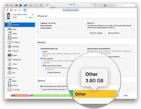 Sprawdź pamięć iPoda touch w iTunes
