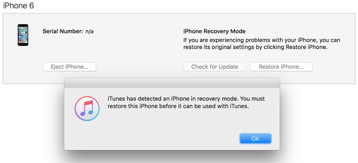 zresetuj iPhone'a w trybie odzyskiwania