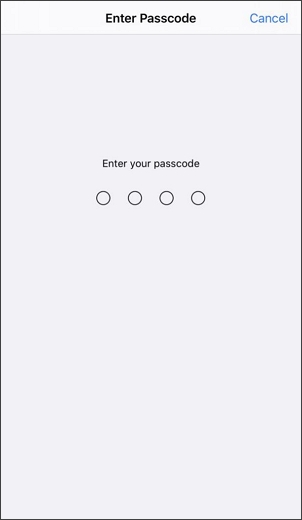 wprowadź swoje hasło do iPhone'a