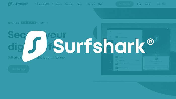 Surf rekin